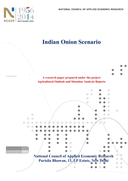 India Onion Sector