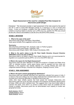 Rapid Assessment of the need for a detailed Pest Risk Analysis for