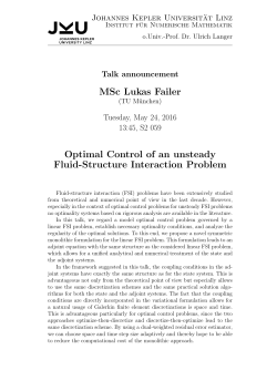 MSc Lukas Failer Optimal Control of an unsteady Fluid