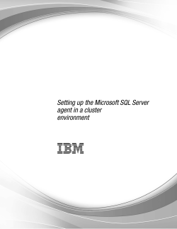 Setting up the Microsoft SQL Server agent in a cluster environment