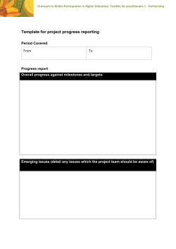 Template for project progress reporting