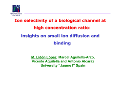 Ion selectivity of a biological channel at high concentration ratio