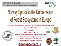 Norway spruce provenances and breeding