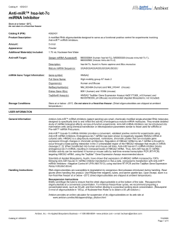 Anti-miR&trade; hsa-let-7c miRNA Inhibitor Positive Control