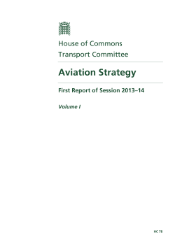 Aviation Strategy - Aviation Environment Federation