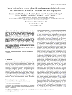Use of multicellular tumor spheroids to dissect endothelial cell
