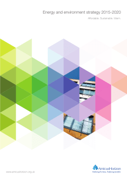 Energy and Environmental Strategy 2015-2020