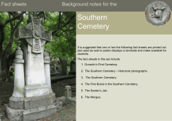 Fact Sheets SC Background