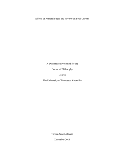 APA 6 Dissertation Template - Trace: Tennessee Research and