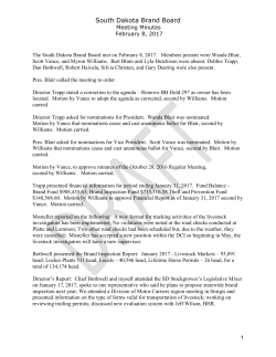 Minutes - SD Brand Board