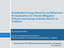 The Incidence of a Carbon Tax across Thai Household Groups: the