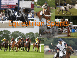 Equestrian Sports