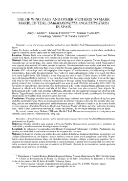 use of wing tags and other methods to mark marbled teal