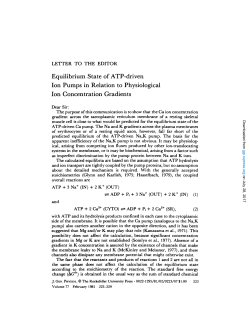 Equilibrium State of ATP-driven Ion Pumps in Relation to