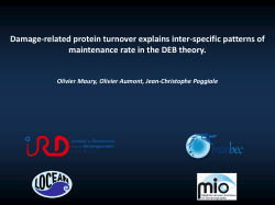 Damage-related protein turnover explains inter