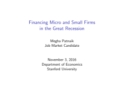 Financing Micro and Small Firms in the Great Recession