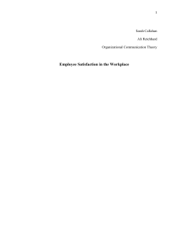 Employee Satisfaction in the Workplace