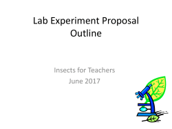 Lab Experiment Proposal