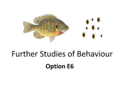 e.6.3 discuss the evolution of altruistic behavior using two