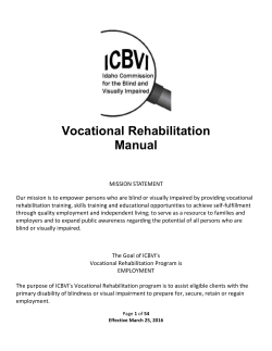 icbvi vr status flow chart - Idaho Commission for the Blind and