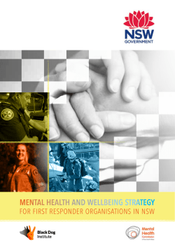 MENTAL HEALTH AND WELLBEING STRATEGY
