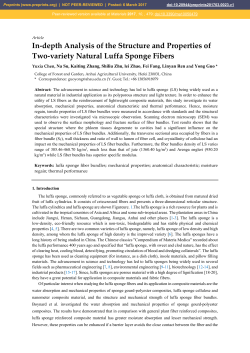 In-depth Analysis of the Structure and Properties of Two