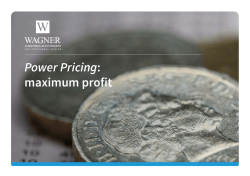 Power Pricing: maximum profit