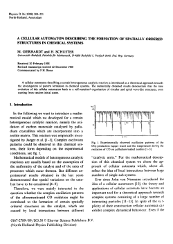 A CELLULAR AUTOMATON DESCRIBING THE