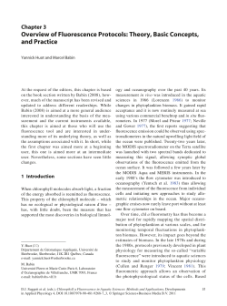 Overview of Fluorescence Protocols: Theory, Basic Concepts, and