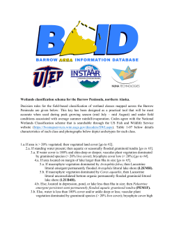 to the decision rules for the field