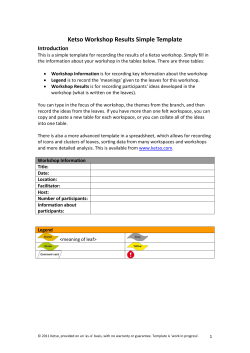 Simple Word Template for writing up results of Ketso workshop