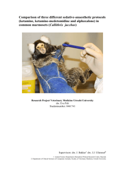 The clinical use of alfaxan in common marmosets (callithrix jacchus)