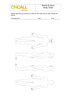 Please describe any marks you make on the chart, eg Cut, Bite