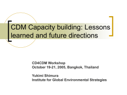 CDM Capacity building: lessons and directions