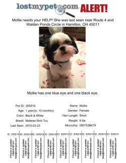 Mollie has one blue eye and one black eye. Mollie needs your HELP