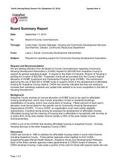 Board Summary Report