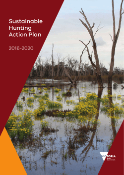 Sustainable Hunting Action Plan