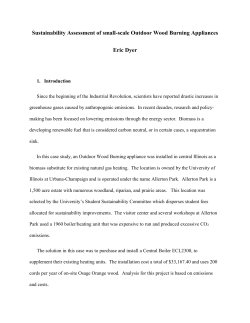 Allerton Wood burning heater