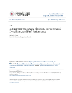IS Support For Strategic Flexibility, Environmental Dynamism, And