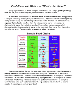 Food Chains and Webs