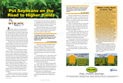 Put Soybeans on the Road to Higher Yields