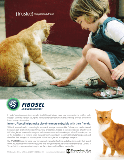 In turn, Fibosel helps make play time more enjoyable with their friends.