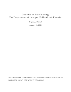 The Determinants of Insurgent Public Goods Provision