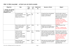 Peer to Peer Challenge-Action Plan-progress
