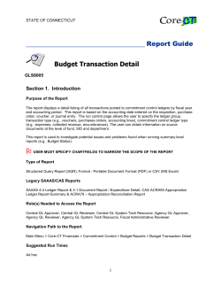 Budget Transaction Detail (GLS8005) - Core-CT