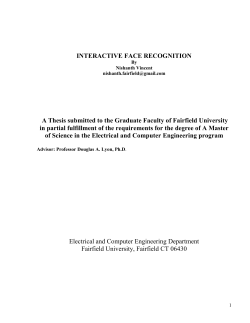 interactive face recognition