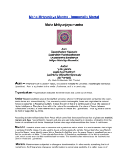 The three forces of Amba