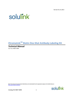 ChromaLink Biotin One-Shot Antibody-Labeling Kit