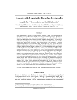 Dynamics of fish shoals: identifying key decision rules