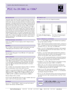 PGC-1&alpha; (H-300): sc-13067 - Santa Cruz Biotechnology